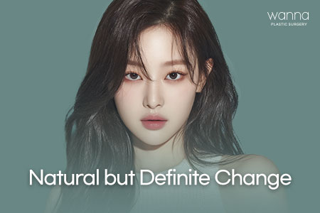 Wanna Plastic Surgery